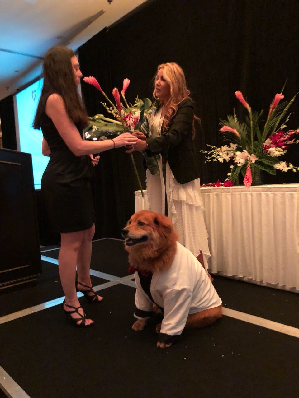 Recognition by Nicklaus Children’s Hospital - The Best Volunteers of the Year | Ale Ramos Therapy Animals