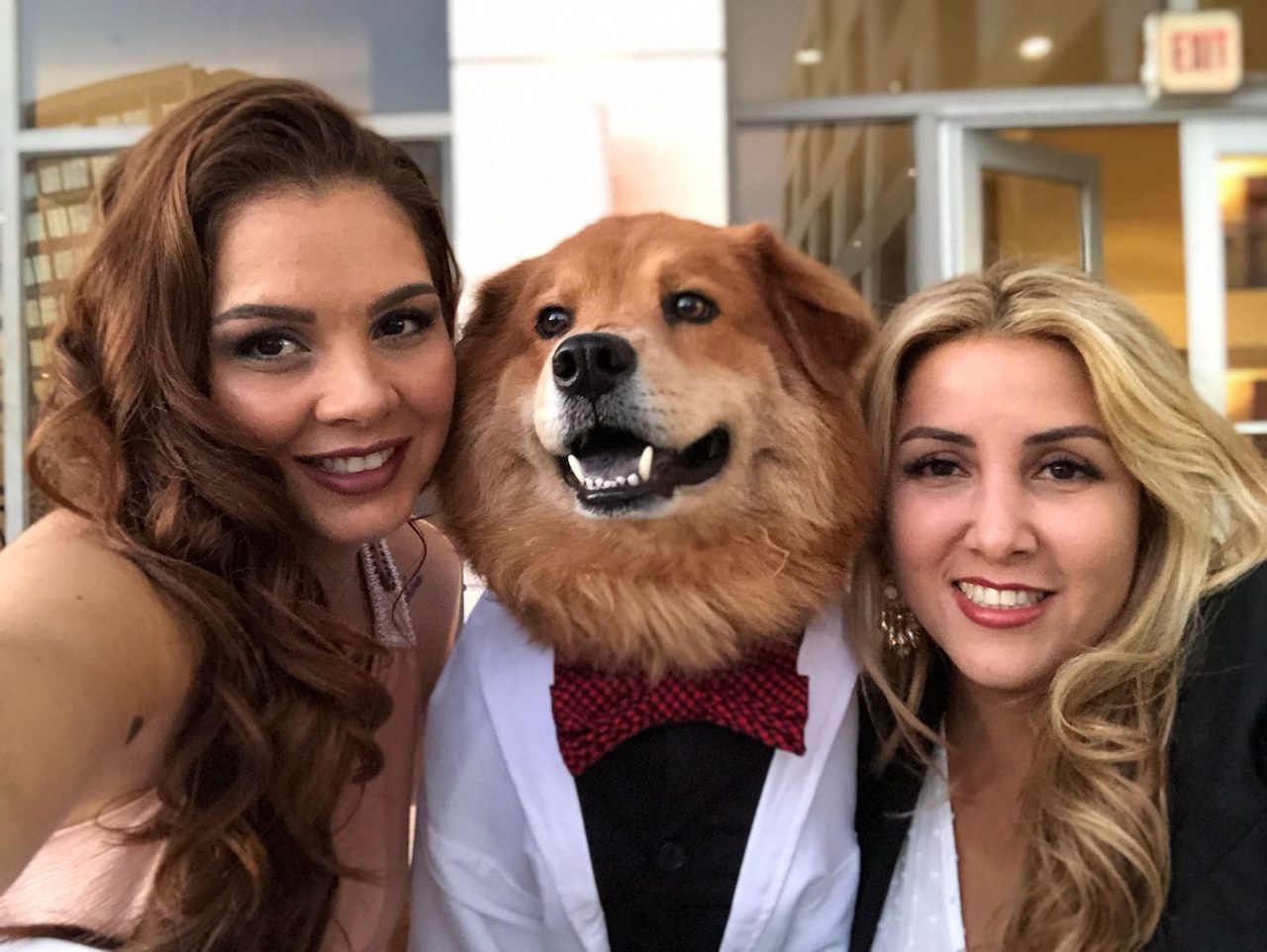 Recognition by Nicklaus Children’s Hospital - The Best Volunteers of the Year | Ale Ramos Therapy Animals