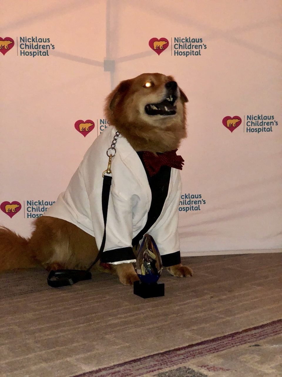 Recognition by Nicklaus Children’s Hospital - The Best Volunteers of the Year | Ale Ramos Therapy Animals