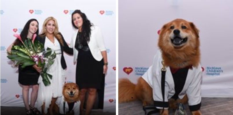 Recognition by Nicklaus Children’s Hospital - The Best Volunteers of the Year | Ale Ramos Therapy Animals