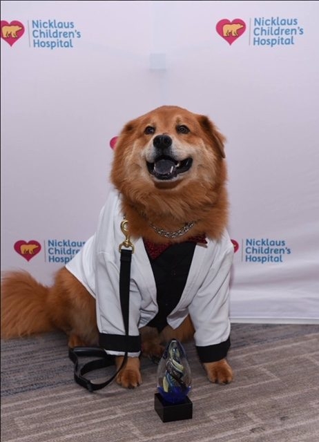 Recognition by Nicklaus Children’s Hospital - The Best Volunteers of the Year | Ale Ramos Therapy Animals