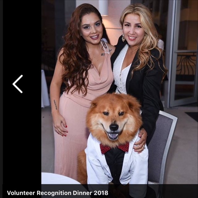 Recognition by Nicklaus Children’s Hospital - The Best Volunteers of the Year | Ale Ramos Therapy Animals