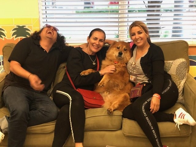 Ronald McDonald House | Ale Ramos Therapy Animals