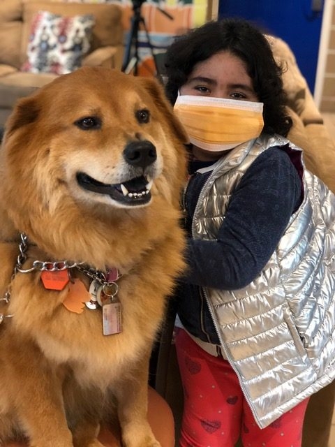 Ronald McDonald House | Ale Ramos Therapy Animals