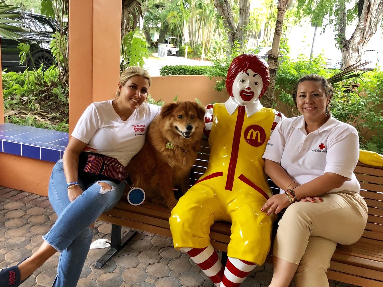 Ronald McDonald visit by Colombia Red Cross | Ale Ramos Therapy Animals