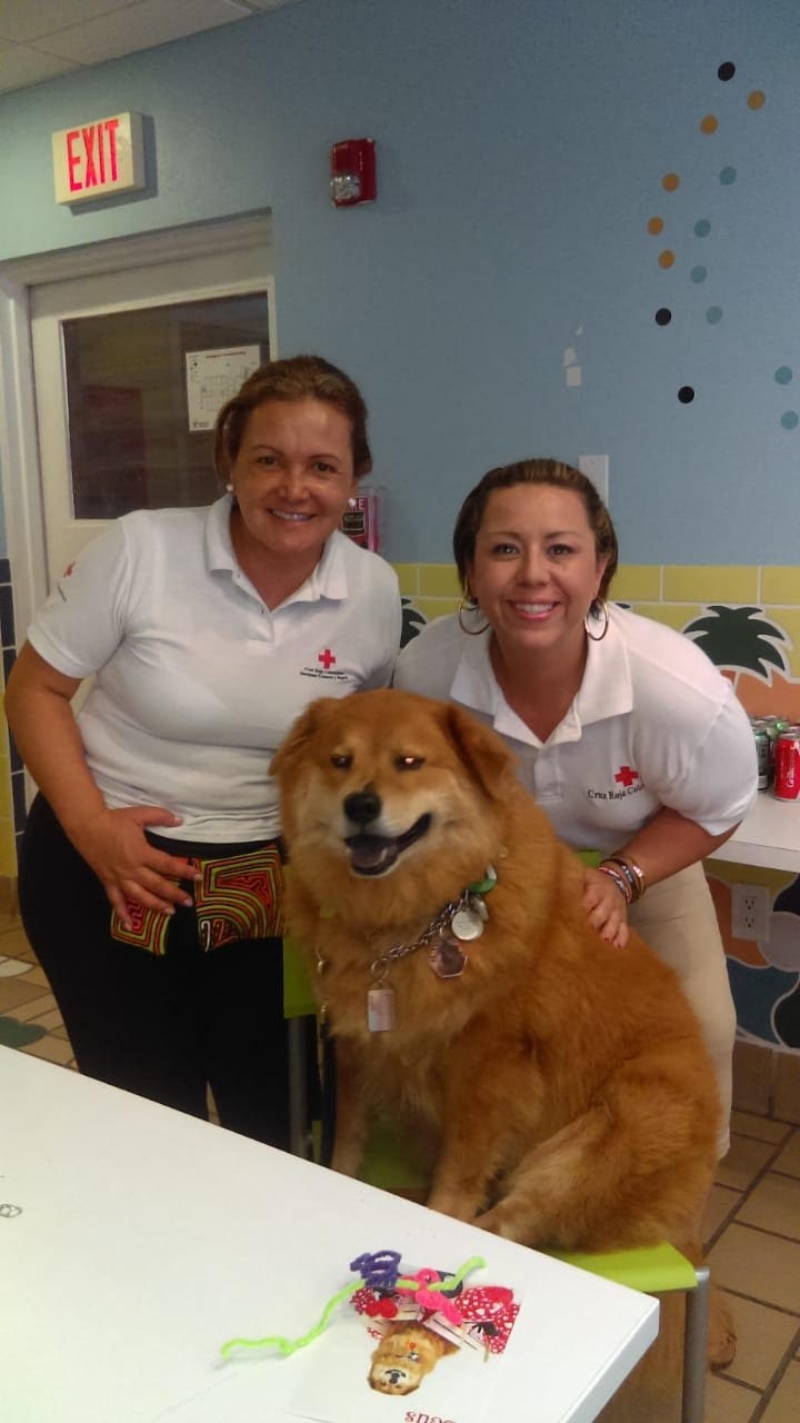 Ronald McDonald visit by Colombia Red Cross | Ale Ramos Therapy Animals