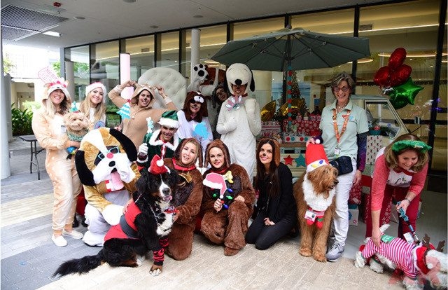 Santa Paws at Nicklaus Children’s Hospital | Ale Ramos Therapy Animals