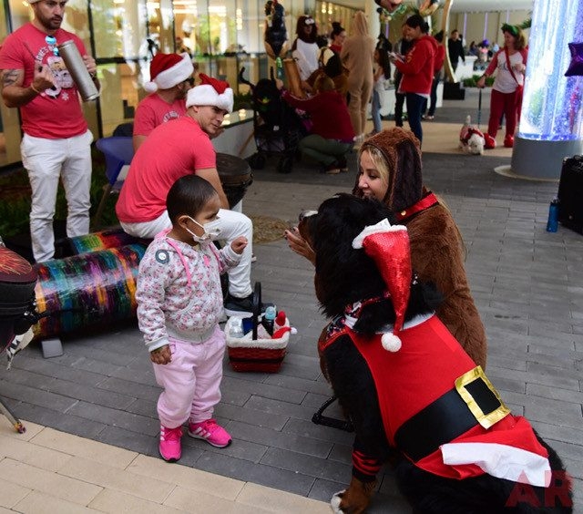 Santa Paws at Nicklaus Children’s Hospital | Ale Ramos Therapy Animals