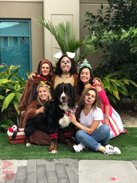 Santa Paws at Nicklaus Children’s Hospital | Ale Ramos Therapy Animals