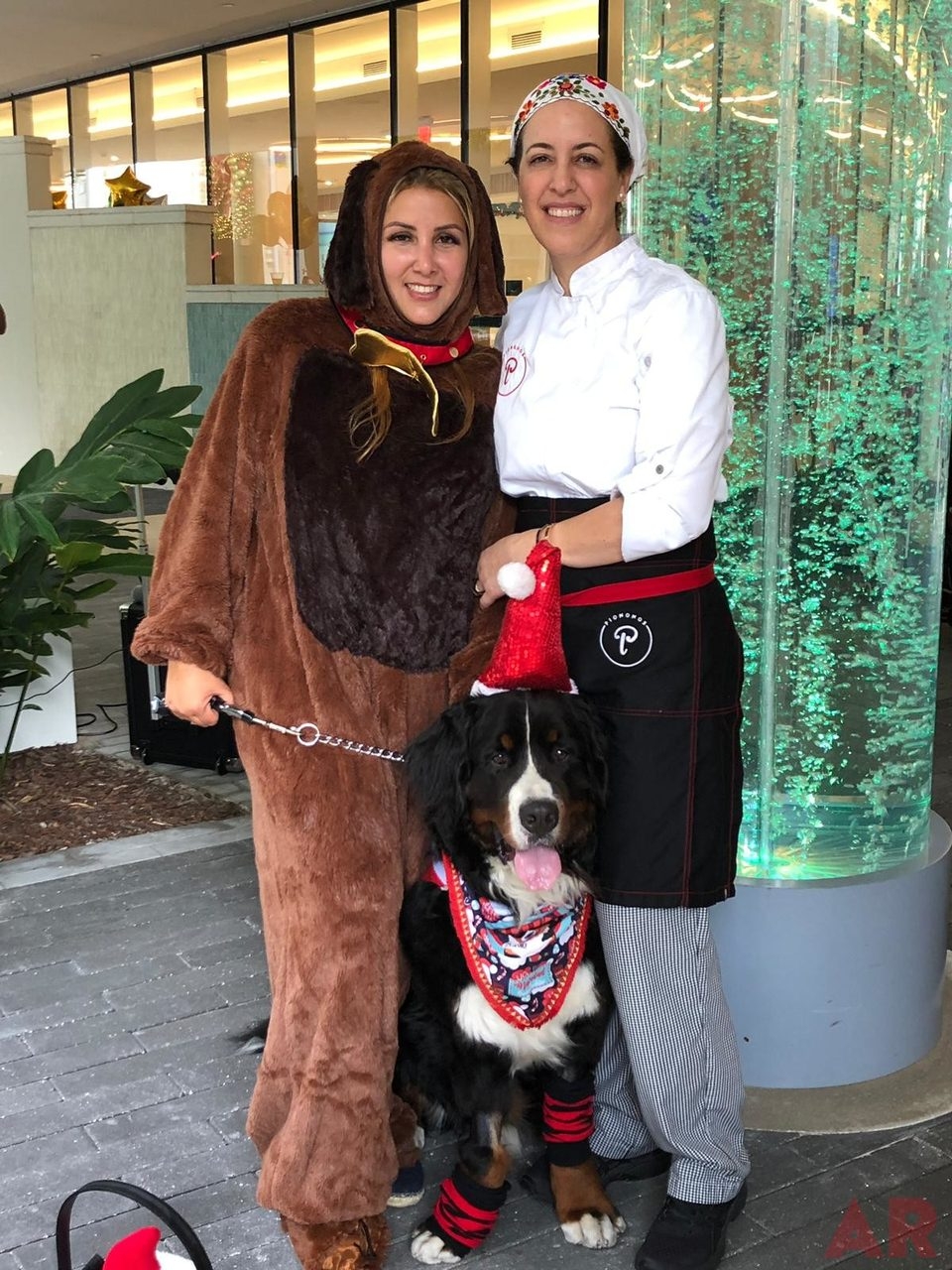 Santa Paws at Nicklaus Children’s Hospital | Ale Ramos Therapy Animals