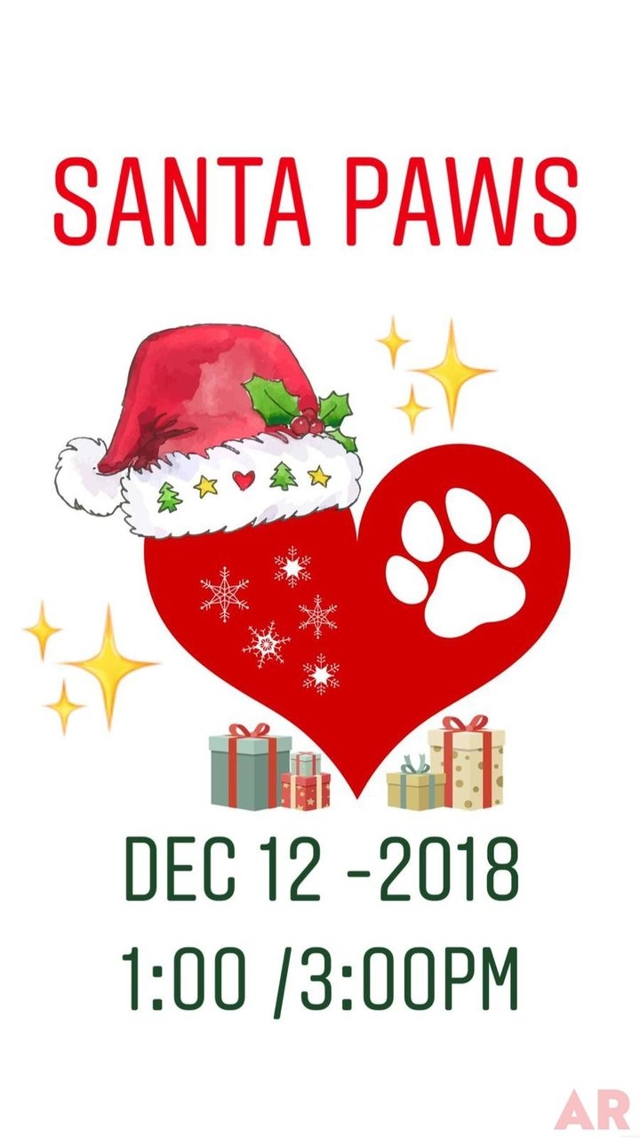 Santa Paws at Nicklaus Children’s Hospital | Ale Ramos Therapy Animals
