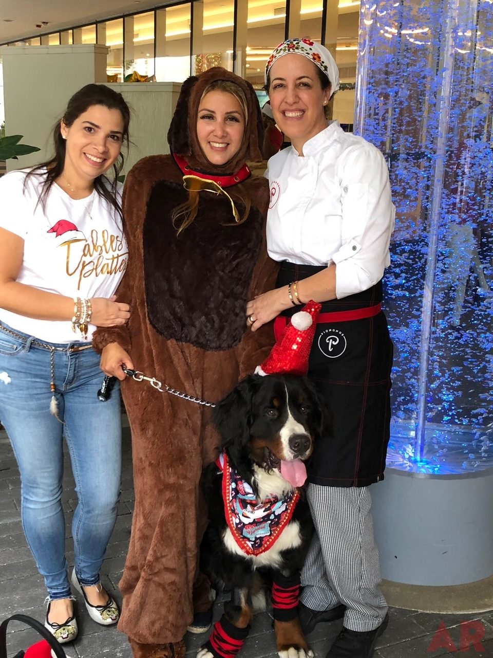 Santa Paws at Nicklaus Children’s Hospital | Ale Ramos Therapy Animals