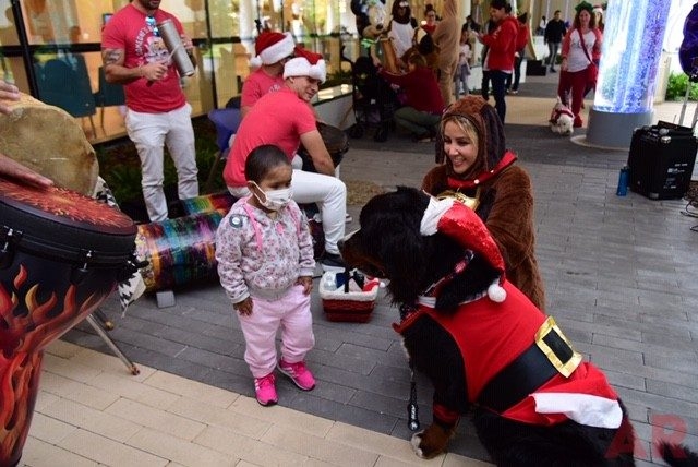 Santa Paws at Nicklaus Children’s Hospital | Ale Ramos Therapy Animals