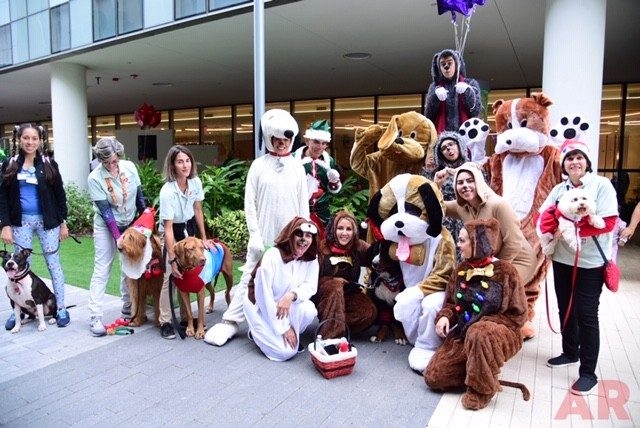 Santa Paws at Nicklaus Children’s Hospital | Ale Ramos Therapy Animals