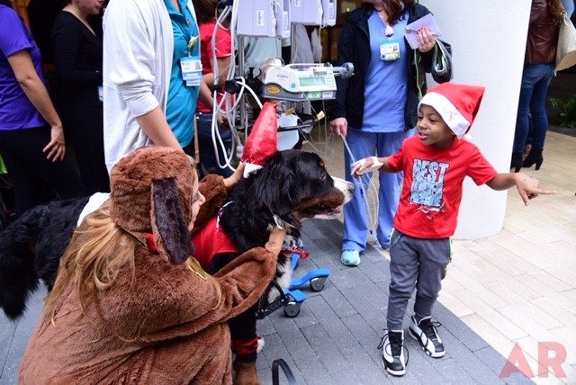 Santa Paws at Nicklaus Children’s Hospital | Ale Ramos Therapy Animals