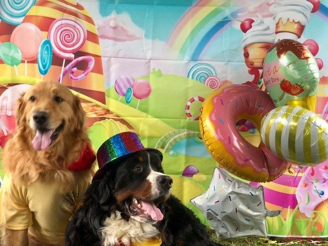 Super Duper Fun Day by Nicklaus Children’s Hospital | Ale Ramos Therapy Animals