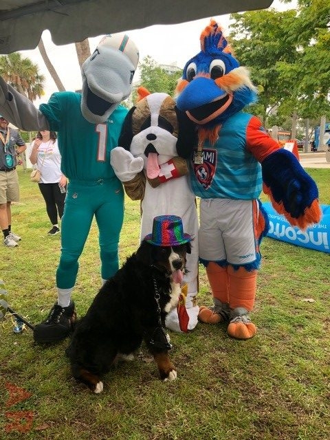 Super Duper Fun Day by Nicklaus Children’s Hospital | Ale Ramos Therapy Animals