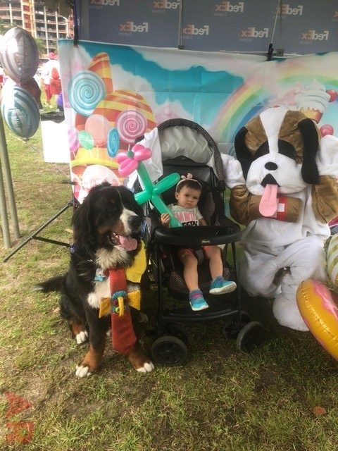 Super Duper Fun Day by Nicklaus Children’s Hospital | Ale Ramos Therapy Animals