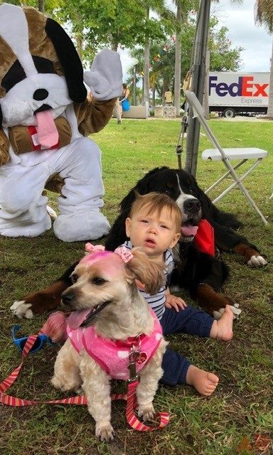 Super Duper Fun Day by Nicklaus Children’s Hospital | Ale Ramos Therapy Animals