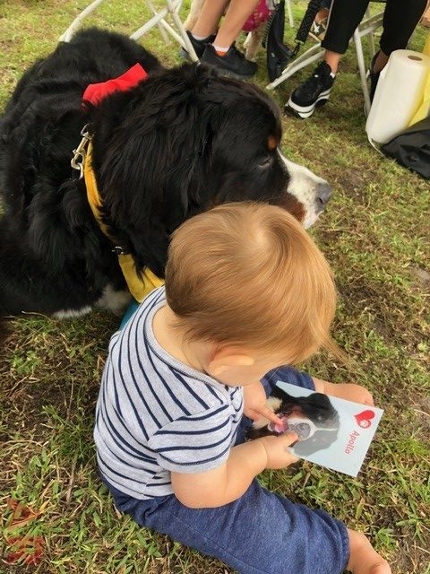 Super Duper Fun Day by Nicklaus Children’s Hospital | Ale Ramos Therapy Animals