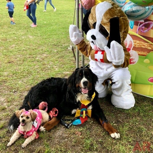 Super Duper Fun Day by Nicklaus Children’s Hospital | Ale Ramos Therapy Animals