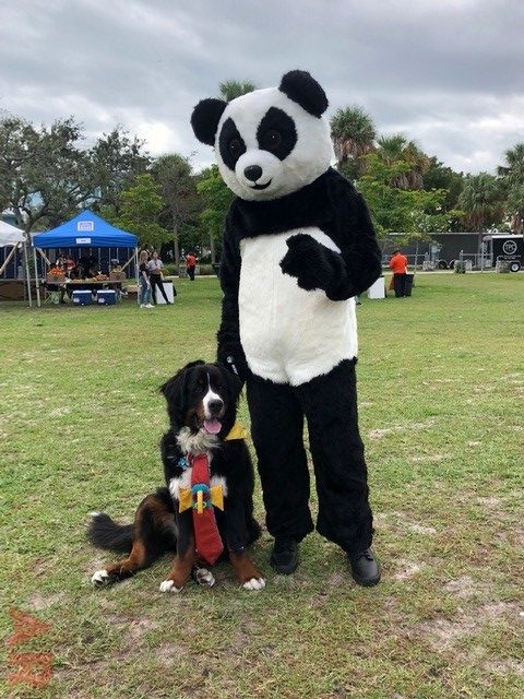 Super Duper Fun Day by Nicklaus Children’s Hospital | Ale Ramos Therapy Animals