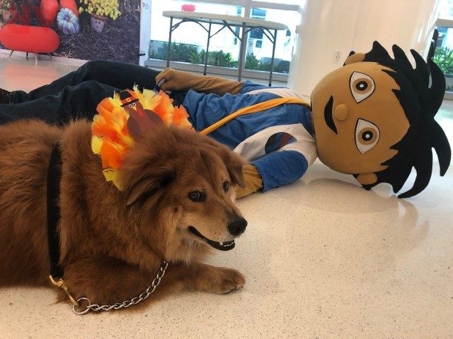 Thanksgiving Celebration by Nicklaus Children’s Hospital | Ale Ramos Therapy Animals