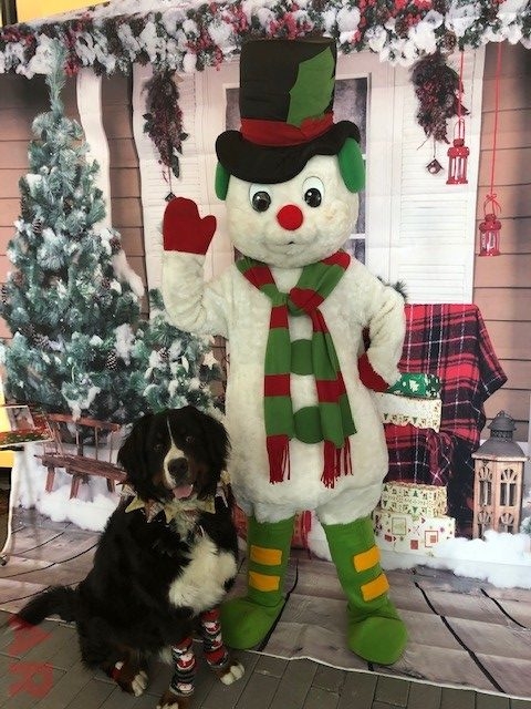 Tree Lighting Ceremony by Nicklaus Children’s Hospital | Ale Ramos Therapy Animals