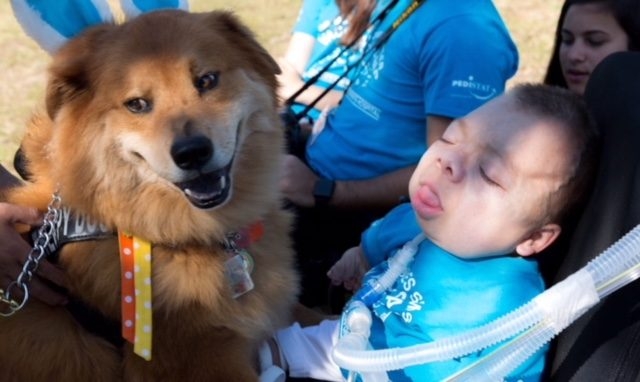 VACC Camp by Nicklaus Children’s Hospital | Ale Ramos Therapy Animals