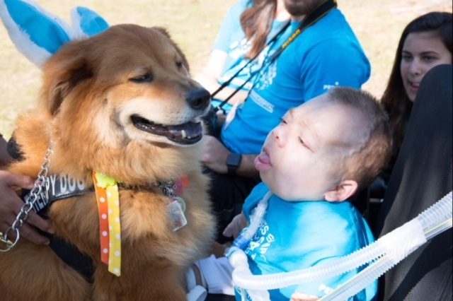 VACC Camp by Nicklaus Children’s Hospital | Ale Ramos Therapy Animals