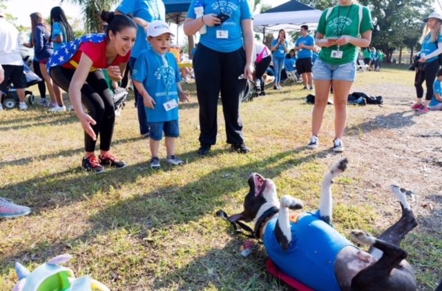 VACC Camp by Nicklaus Children’s Hospital | Ale Ramos Therapy Animals