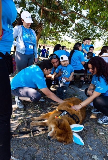 VACC Camp by Nicklaus Children’s Hospital | Ale Ramos Therapy Animals