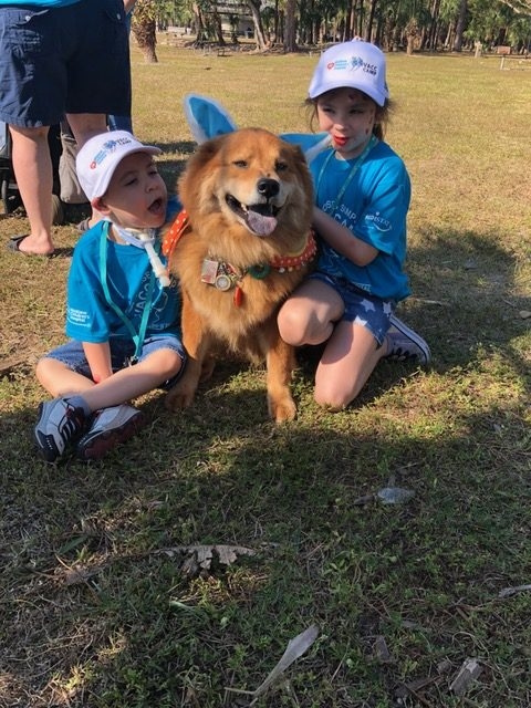 VACC Camp by Nicklaus Children’s Hospital | Ale Ramos Therapy Animals