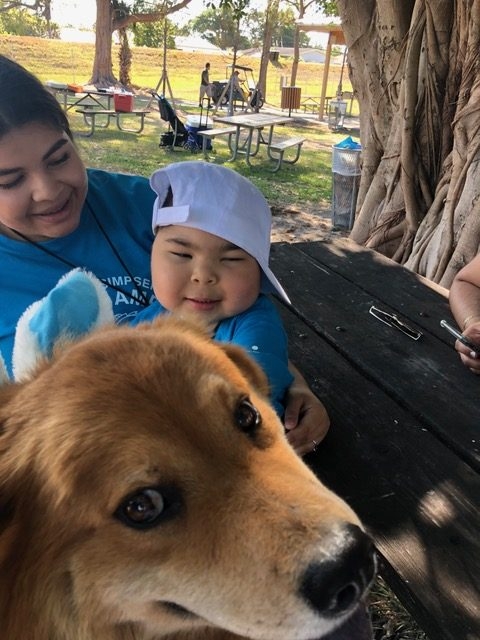 VACC Camp by Nicklaus Children’s Hospital | Ale Ramos Therapy Animals