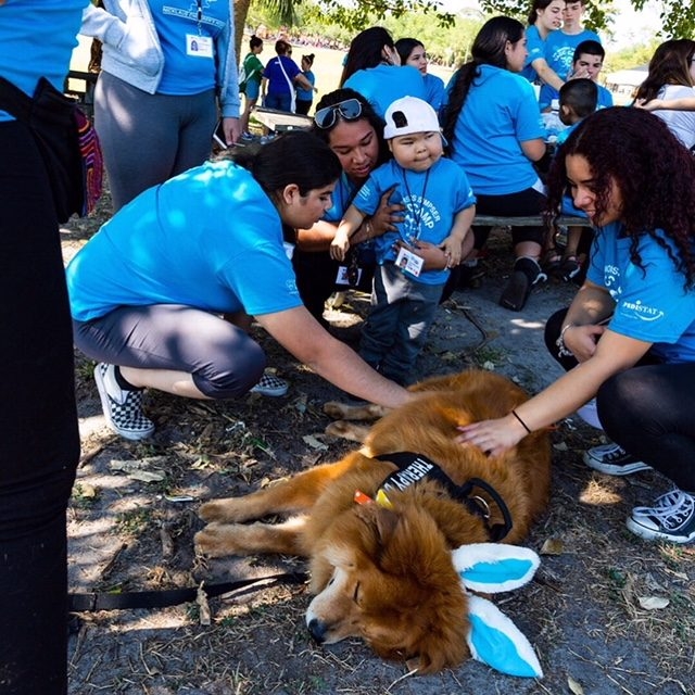 VACC Camp by Nicklaus Children’s Hospital | Ale Ramos Therapy Animals