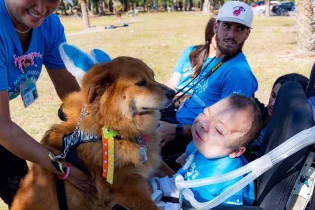 VACC Camp by Nicklaus Children’s Hospital | Ale Ramos Therapy Animals