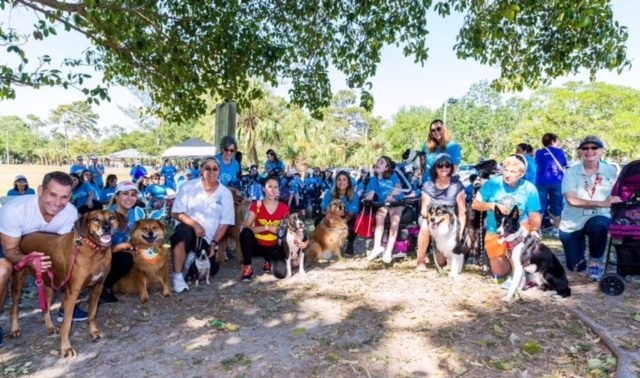 VACC Camp by Nicklaus Children’s Hospital | Ale Ramos Therapy Animals