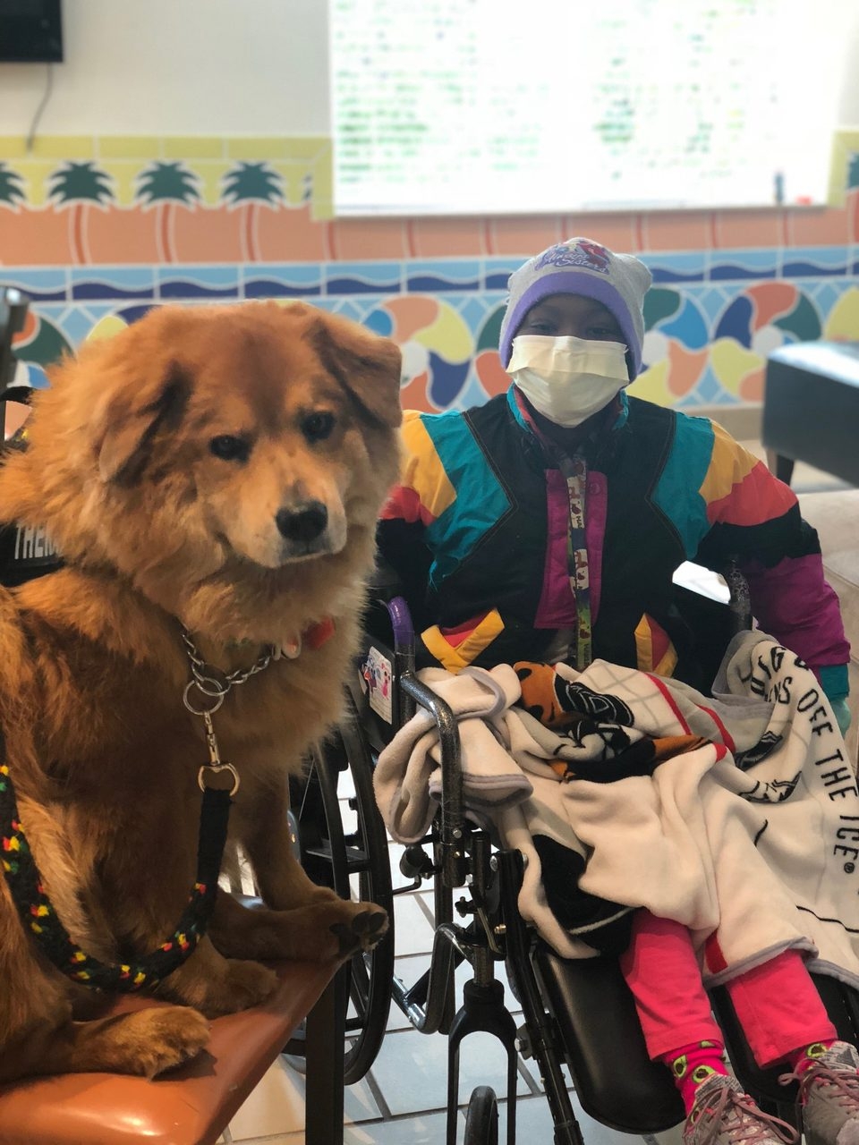 Visit at Ronald McDonald House | Ale Ramos Therapy Animals
