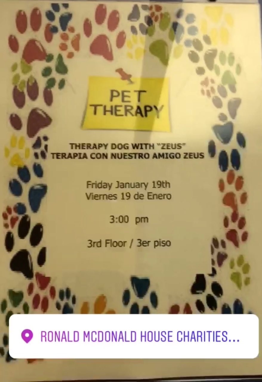 Visit at Ronald McDonald House | Ale Ramos Therapy Animals