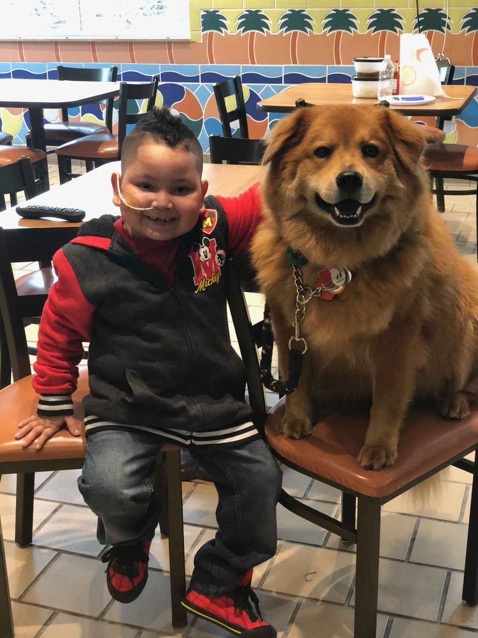 Visit at Ronald McDonald House | Ale Ramos Therapy Animals
