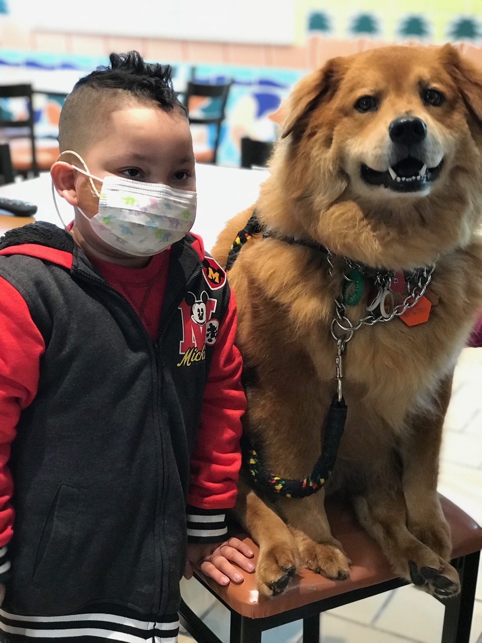 Visit at Ronald McDonald House | Ale Ramos Therapy Animals