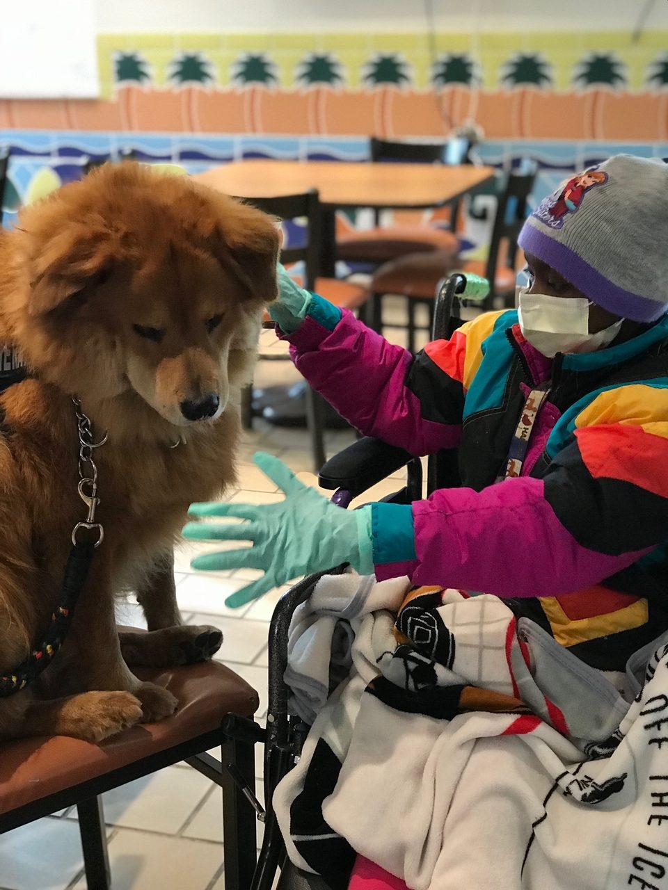 Visit at Ronald McDonald House | Ale Ramos Therapy Animals