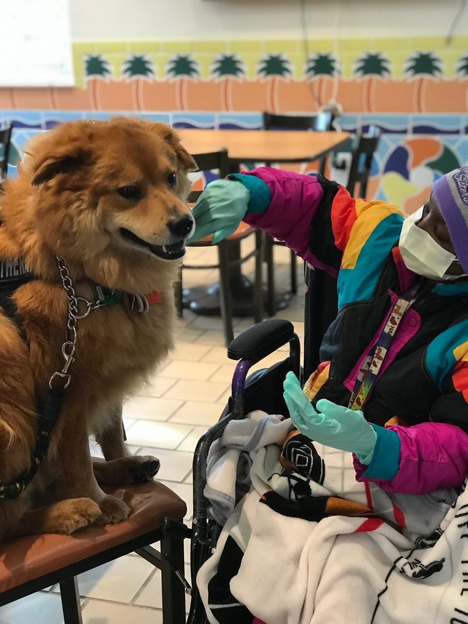 Visit at Ronald McDonald House | Ale Ramos Therapy Animals