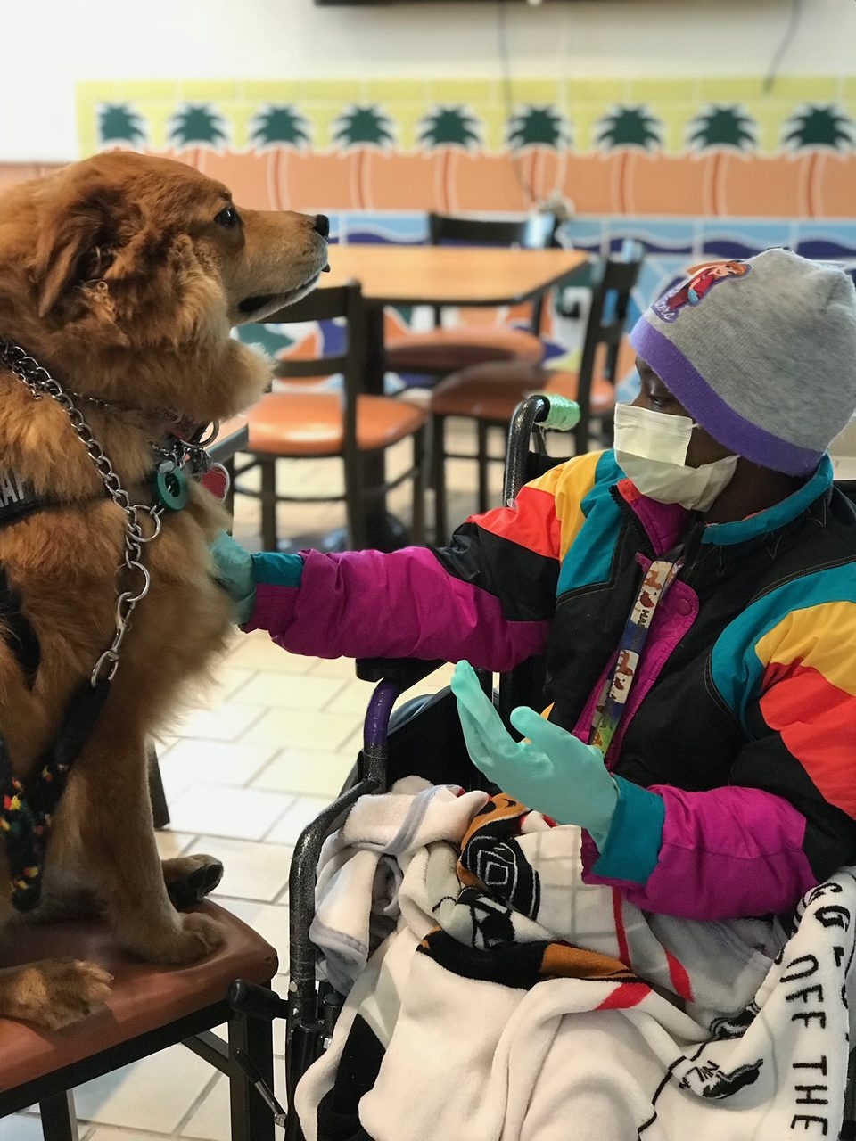 Visit at Ronald McDonald House | Ale Ramos Therapy Animals