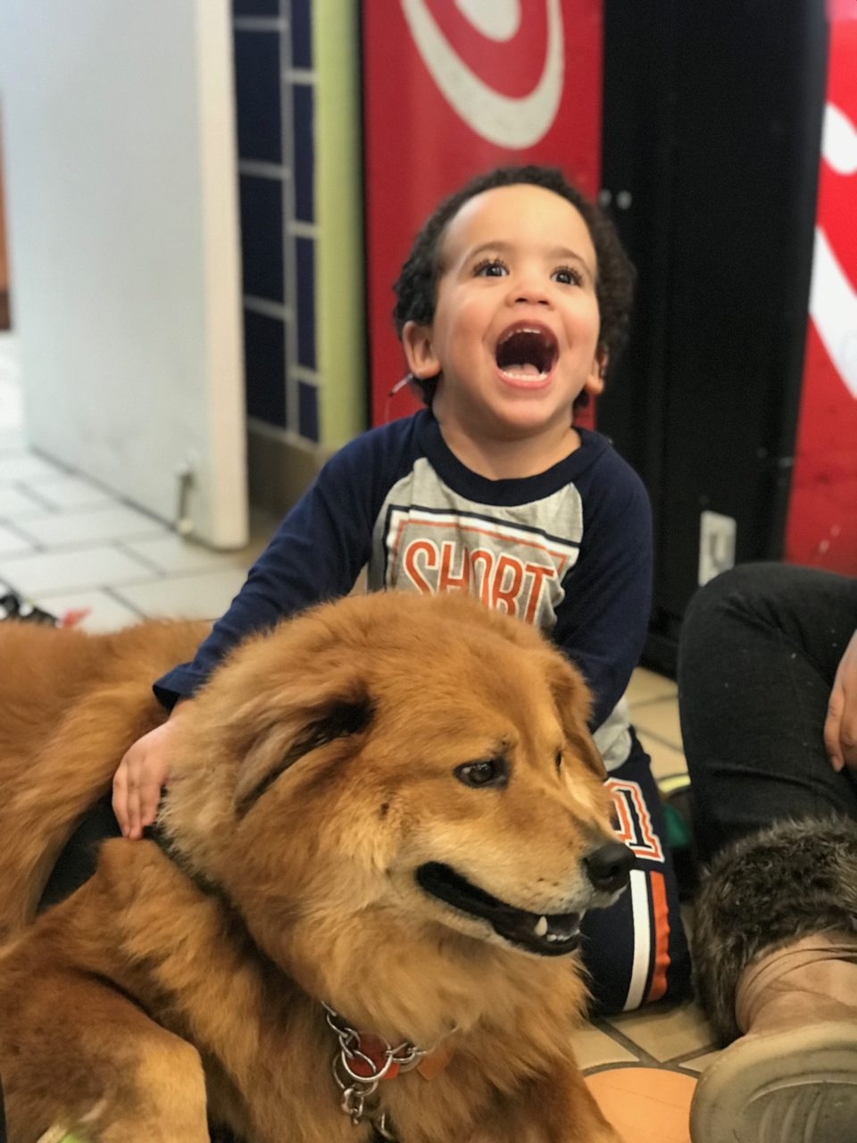 Visit at Ronald McDonald House | Ale Ramos Therapy Animals