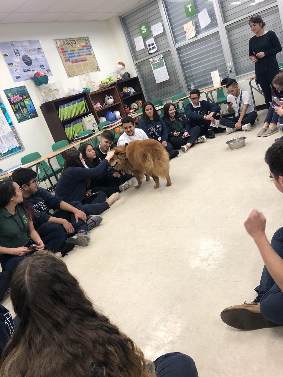 Visit the Kids of Terra Environmental School | Ale Ramos Therapy Animals