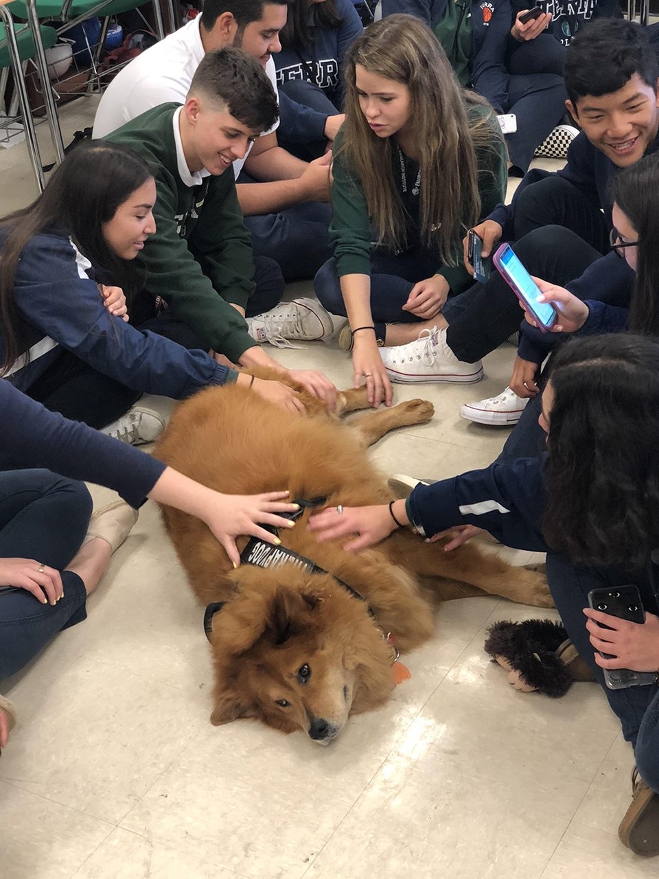 Visit the Kids of Terra Environmental School | Ale Ramos Therapy Animals
