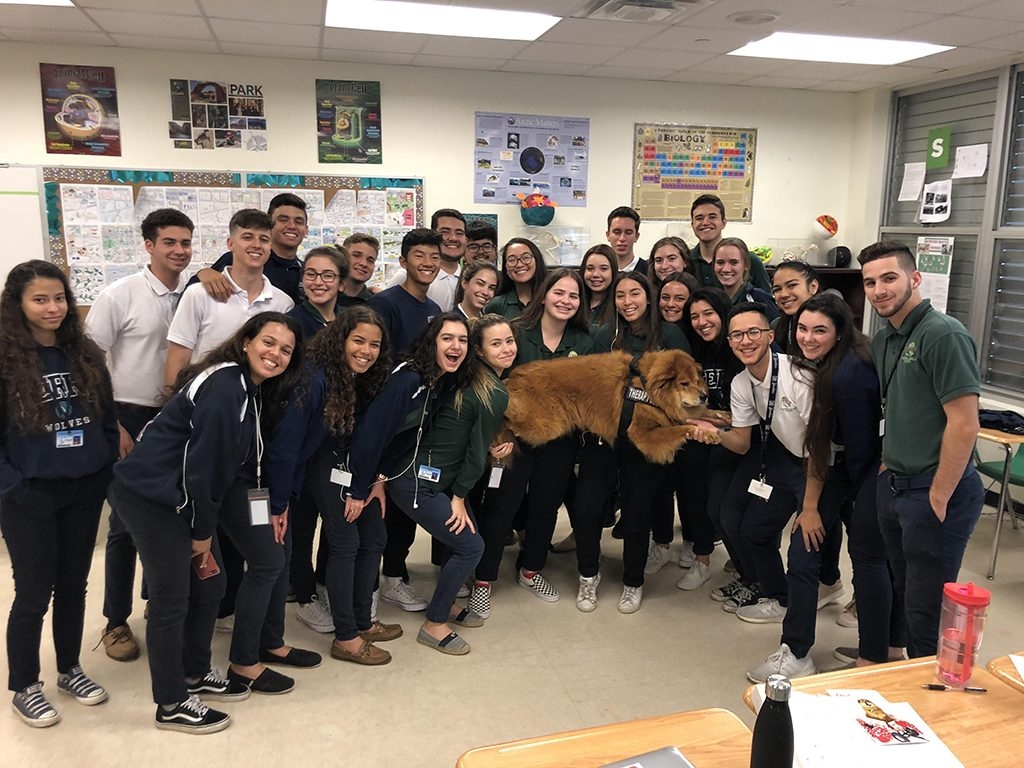 Visit the Kids of Terra Environmental School | Ale Ramos Therapy Animals