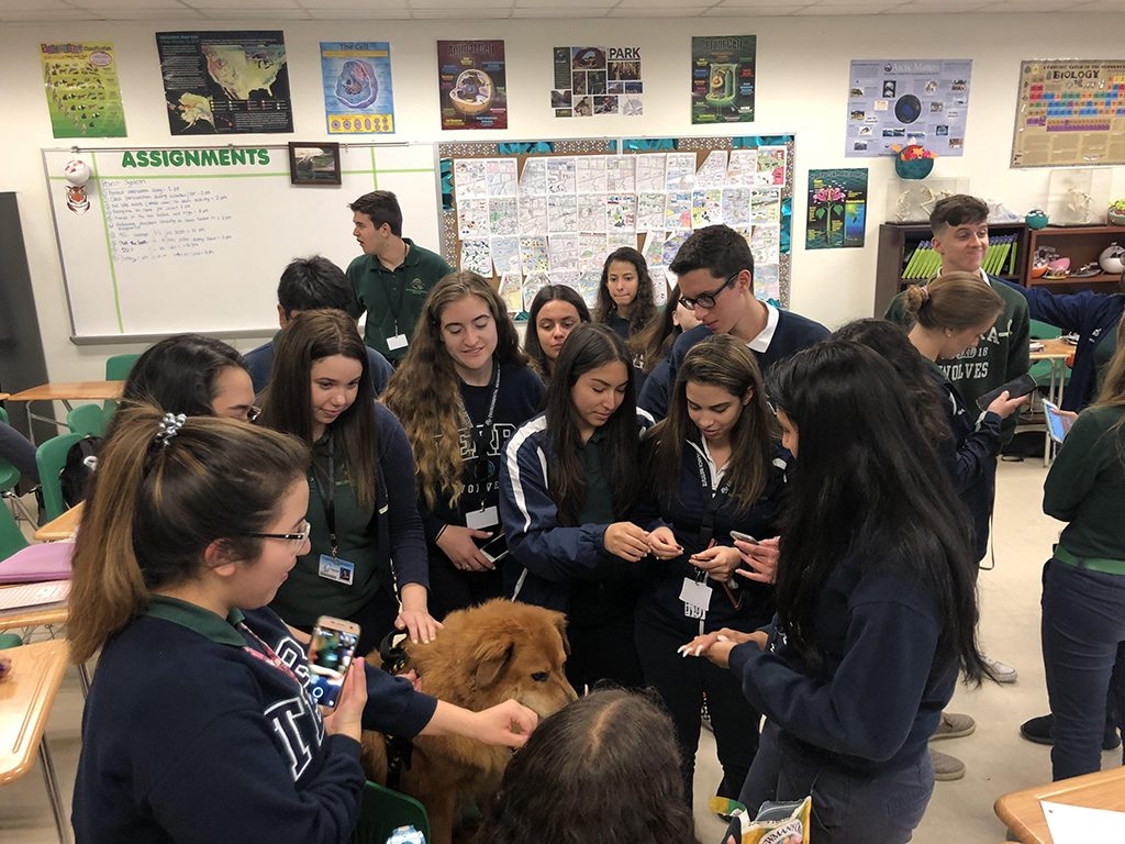 Visit the Kids of Terra Environmental School | Ale Ramos Therapy Animals