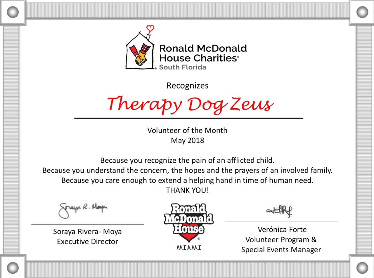Volunteer Event by Ronald McDonald | Ale Ramos Therapy Animals
